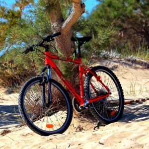 Fra mudder til magi: Sådan får du mest ud af skovturen på cykel