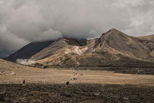 Working holiday i new zealand: En drøm eller realitet?