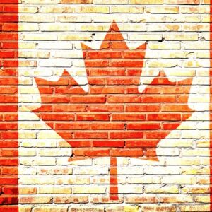 Design dit eget flag: Inspiration fra gul, grøn og rød